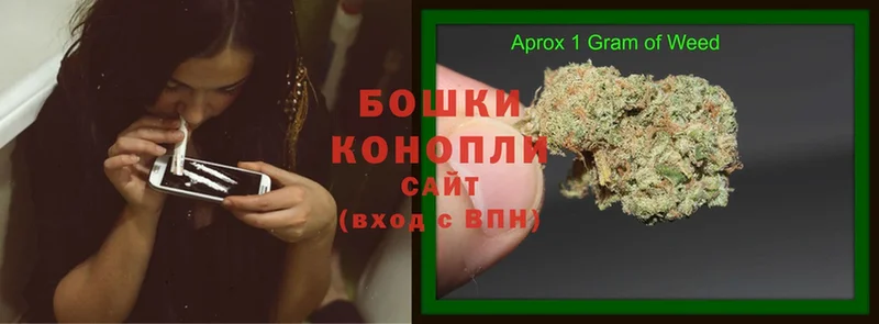 Бошки Шишки конопля  Бузулук 